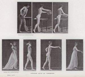 Hareket Halindeki İnsan Figürü: Çeşitli fırlatma hareketleri (s/b fotoğraf) by Eadweard Muybridge