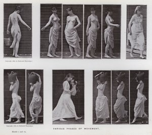 Hareket Halindeki İnsan Figürü: Hareketin çeşitli evreleri (s/b fotoğraf) by Eadweard Muybridge