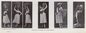 Hareket Halindeki İnsan Figürü: Hareketin çeşitli evreleri (s/b fotoğraf) by Eadweard Muybridge