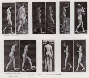 Hareket Halindeki İnsan Figürü: Yürüyen, çeşitli koşullar altında (s/b fotoğraf) by Eadweard Muybridge