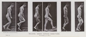 Hareket Halindeki İnsan Figürü: Yürüyen, çeşitli koşullar altında (s/b fotoğraf) by Eadweard Muybridge