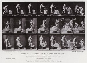 Hareket Halindeki İnsan Figürü: Kadın, sinir sistemine bir şok (s/b fotoğraf) by Eadweard Muybridge