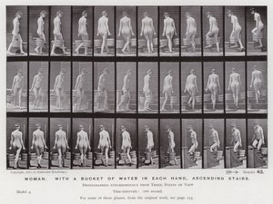 Hareket Halindeki İnsan Figürü: Her iki elinde bir kova su olan kadın, merdivenleri tırmanıyor. by Eadweard Muybridge