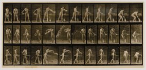  by Eadweard Muybridge