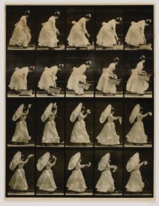  by Eadweard Muybridge
