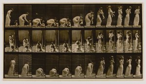  by Eadweard Muybridge