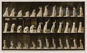  by Eadweard Muybridge