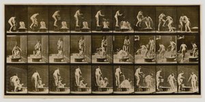  by Eadweard Muybridge