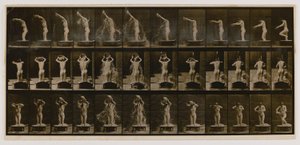  by Eadweard Muybridge