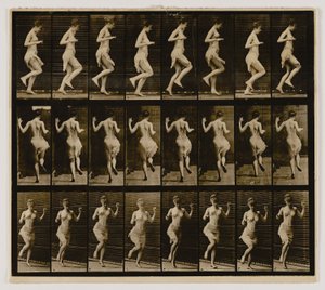  by Eadweard Muybridge