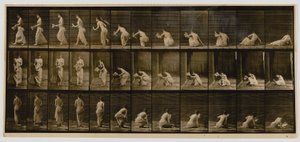  by Eadweard Muybridge