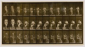 by Eadweard Muybridge