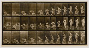  by Eadweard Muybridge
