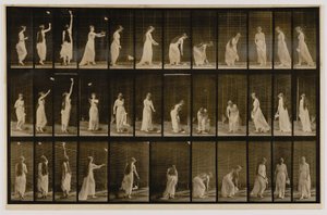  by Eadweard Muybridge