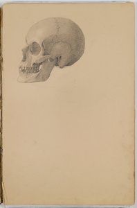 Anatomi Eskiz Defteri, 1849 (grafitten çizimler içeren eskiz defteri)