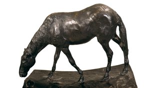 Yalaktaki at, Edgar Degas