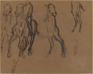 Atların Çalışması, c.1886 (kahverengi kağıt üzerinde kömür ve grafit) by Edgar Degas