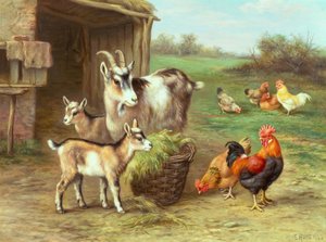 Çiftlik Bahçesinde Beslenen Tavuklar ve Keçiler by Edgar Hunt
