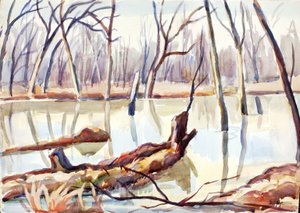 Rock Creek, Kış, ca. 1920-1929. by Edgar Nye