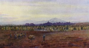 Kuzey İspanya: Benavente, Castro Gonzalo Köprüsü