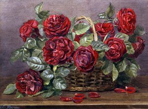 Kırmızı güller. Edith Isabel Barrow