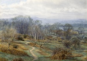 Hampstead Heath Harrow on the Hill, 1880 dolayları (kağıt üzerinde wc) by Edith Martineau