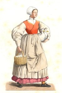 Fransız köylü
