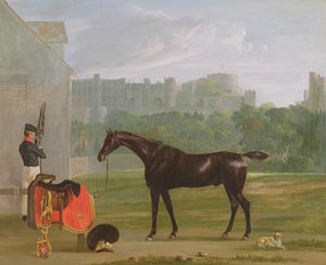 Windsor