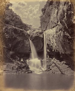  by Edmund David Lyon