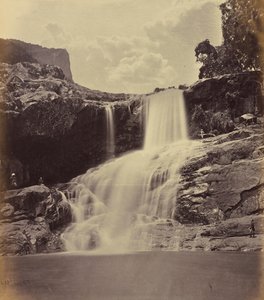  by Edmund David Lyon