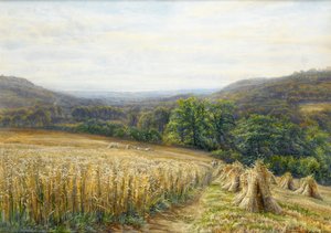 Ashburton yakınlarında Hasat Zamanı, 1884 (kağıt üzerinde wc ve guaj) by Edmund George Warren