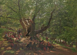 Robin Hood ve Mutlu Adamları Sherwood Ormanı