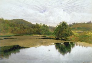 The Pool, 1860 (kağıt üzerine wc & kalem ve mürekkep)