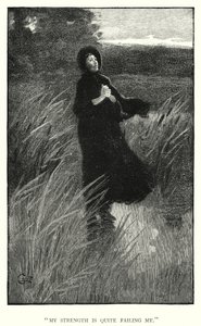 Charlotte Bronte tarafından Jane Eyre için illüstrasyon (gravür) by Edmund Henry Garrett