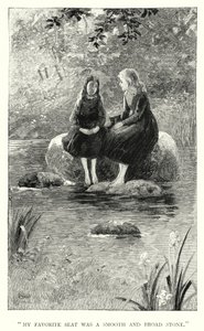 Charlotte Bronte tarafından Jane Eyre için illüstrasyon (gravür)