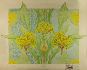 Indian Shot Lily, c.1895 (kağıt üzerine guaş)
