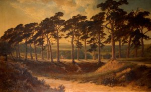 Baştan Tırmık, Hampstead Heath, 1875