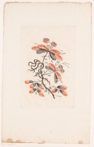 Çiçekler ve tomurcuklar Fleurs Idealle (dizi adı) by Edouard Gautier Dagoty