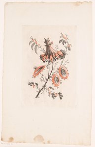 Şemsiye şeklindeki çiçekler Fleurs Idéalle (seri başlığı) by Edouard Gautier Dagoty