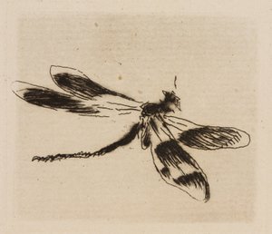 Dragonfly, The River'dan 1. plaka by Édouard Manet