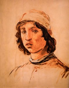 Filipinli Lippi