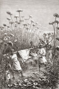 Dr. David Livingstone, ölümünden kısa bir süre önce Afrika