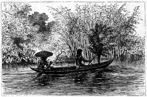 Essequibo Nehri