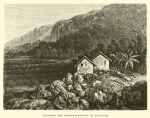 Tian-tian Hacienda ve Kakao-plantasyonu by Edouard Riou