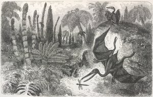 "Lias döneminin manzarası". Bir Pterodactyl'i tasvir eden çizim by Edouard Riou