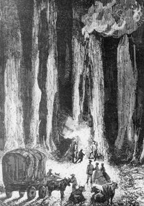 Le soir venu, on campa au pied d'eucalyptus, In Search of Castaways için illüstrasyon, Jules Verne'nin (1828-1905) macera romanı, Edouard Riou'nun (1833-1900) çiziminden sonra Adolphe Francois Pannemaker'ın (1822 doğumlu) gravürü , Paris by Edouard Riou