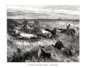 Hayvancılık, Los Llanos, Venezuela, 19. yüzyıl by Edouard Riou