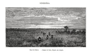 Los Llanos, Venezuela, 19. yüzyıl by Edouard Riou