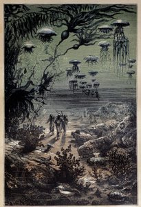 Sualtı zemini. Jules Verne