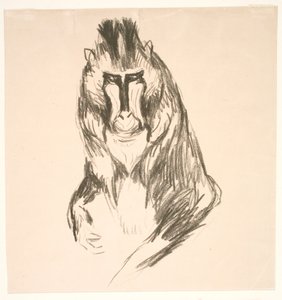 Goril (Mandril) by Edvard Munch